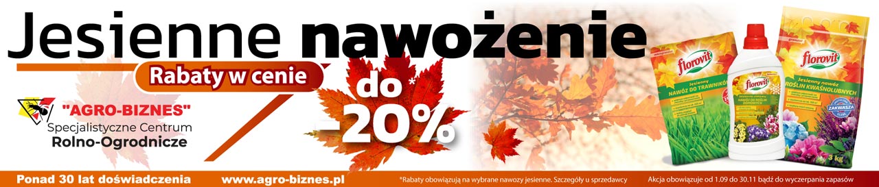 więcej