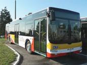 Czas na bilety czasowe