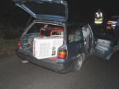 Policyjny pościg przez granicę