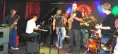 Hity i kity w gorzowskiej kulturze