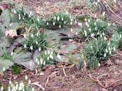 Na wiosnę jeszcze poczekamy