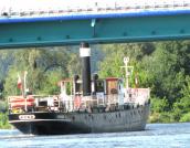 Gdzie się podziała nasza Kuna?!