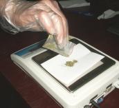 Nieletni odpowiedzą za marihuanę