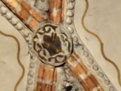 Katedralne anioły i demony