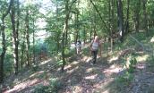 Bieszczady za rogatkami miasta