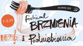 Festiwal Brzmienia i Podniebienia – Kulinaria 2013