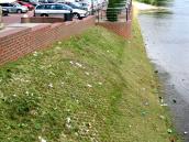 Na pożytek środowiska, oczywiście lokalnego