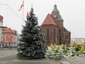 Choinki pachnące  świętami i prezentami