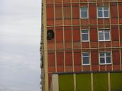 Ze szkodą dla nas i naszej lubuskości