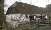 Po historycznych wsiach i bukowym lesie