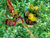 Od palmy do dyngusa, jak obyczaj każe