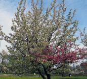 Tak już mam i nic na to nie poradzę