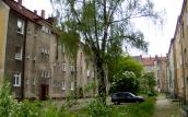 To może być najpiękniejsze podwórko w mieście
