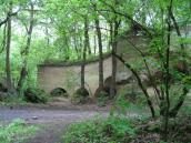 Wyprawa po lasach do starego fortu