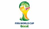 Mundial 2014: Panie van Gaal, jesteś babą!