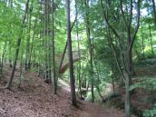 Do jednego z cudów przyrody