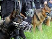 Przez wiele godzin szukali ciała, którego nie było