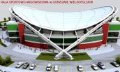 Środowiska sportowe zaczynają mówić jednym głosem