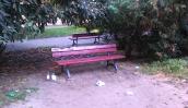 Park Róż miejscem nocnych libacji