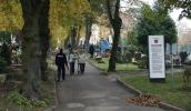 Złodzieje czekają na cmentarzach szczególnie teraz