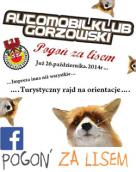 Samochodami pogoń za lisem z odkrywaniem hasła