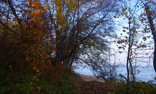 medium_news_header_9320.jpg