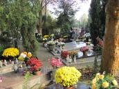Gorzowianie tłumnie odwiedzają cmentarz przy Żwirowej