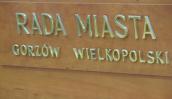 Cała gromada potencjalnych gwiazd nowej rady miasta