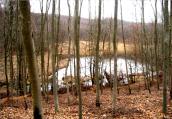 Lasami do Europejskiej Stolicy Nordic Walking