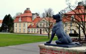 Do Mickiewicza, Szymborskiej i skarbów kultury