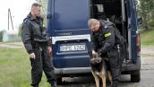 Policyjne psy gotowe do dalszej służby