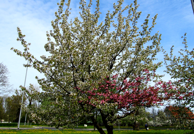 medium_news_header_11157.jpg