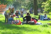 Piknik rodzinny w Parku Róż przyciągnął tłumy