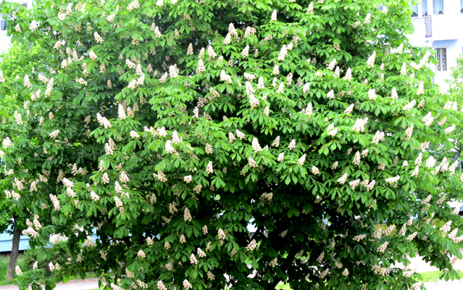medium_news_header_11199.jpg