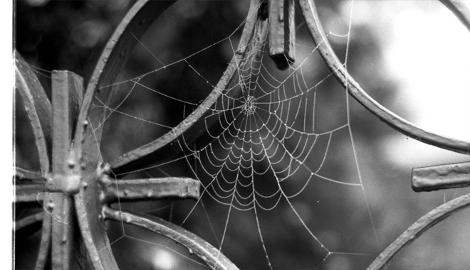 medium_news_header_11945.jpg