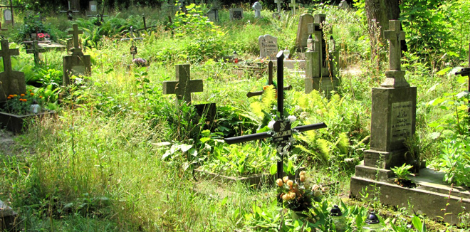 medium_news_header_12296.jpg