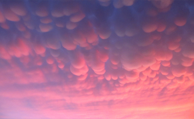 medium_news_header_12538.jpg