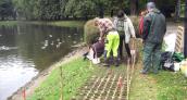 Na wiosnę park Wiosny Ludów zakwitnie kolorami
