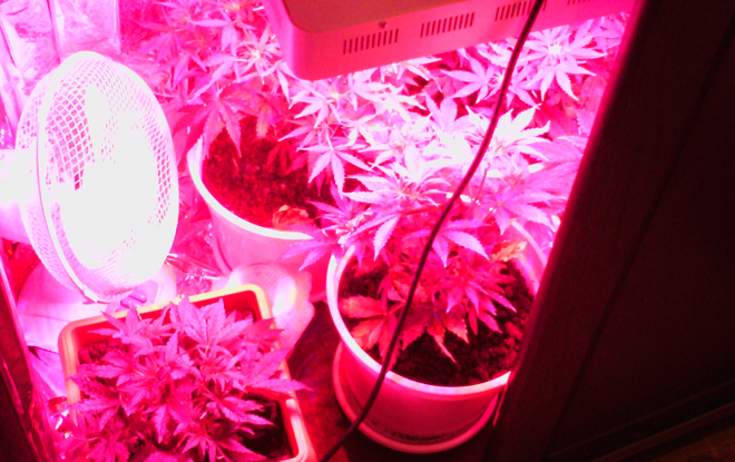 medium_news_header_13039.jpg