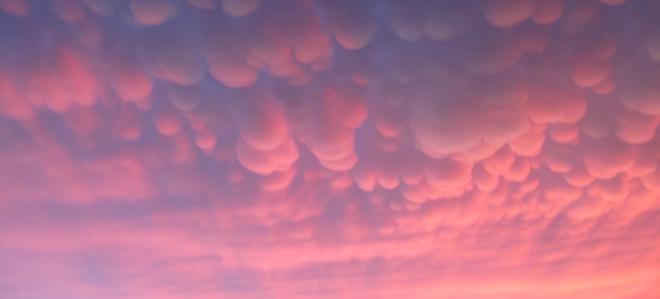 medium_news_header_13054.jpg