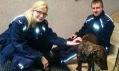 Zagubiony i ranny pies pod opieką policjantów w sądzie