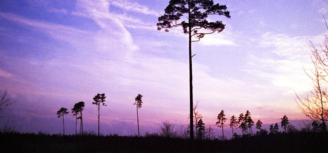 medium_news_header_13951.jpg