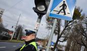 Piesi byli,  są i będą pod szczególnym nadzorem
