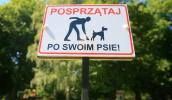 Sprzątanie po psie to obowiązek – przypomną o tym strażnicy