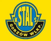 Czwarty mecz bez porażki. Stal na fali