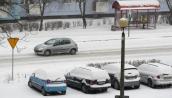 Pierwsze mrozy i pierwsze zimowe kłopoty