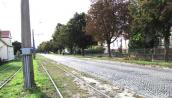 Kostrzyńska będzie w końcu remontowana, ale drzew szkoda