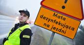 Na szczęście wirus grypy H5N8 nie jest groźny dla człowieka