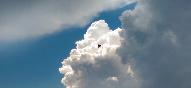 medium_news_header_17350.jpg