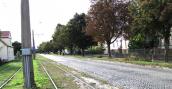 Na wycinkę  drzew przy Kostrzyńskiej jeszcze poczekamy